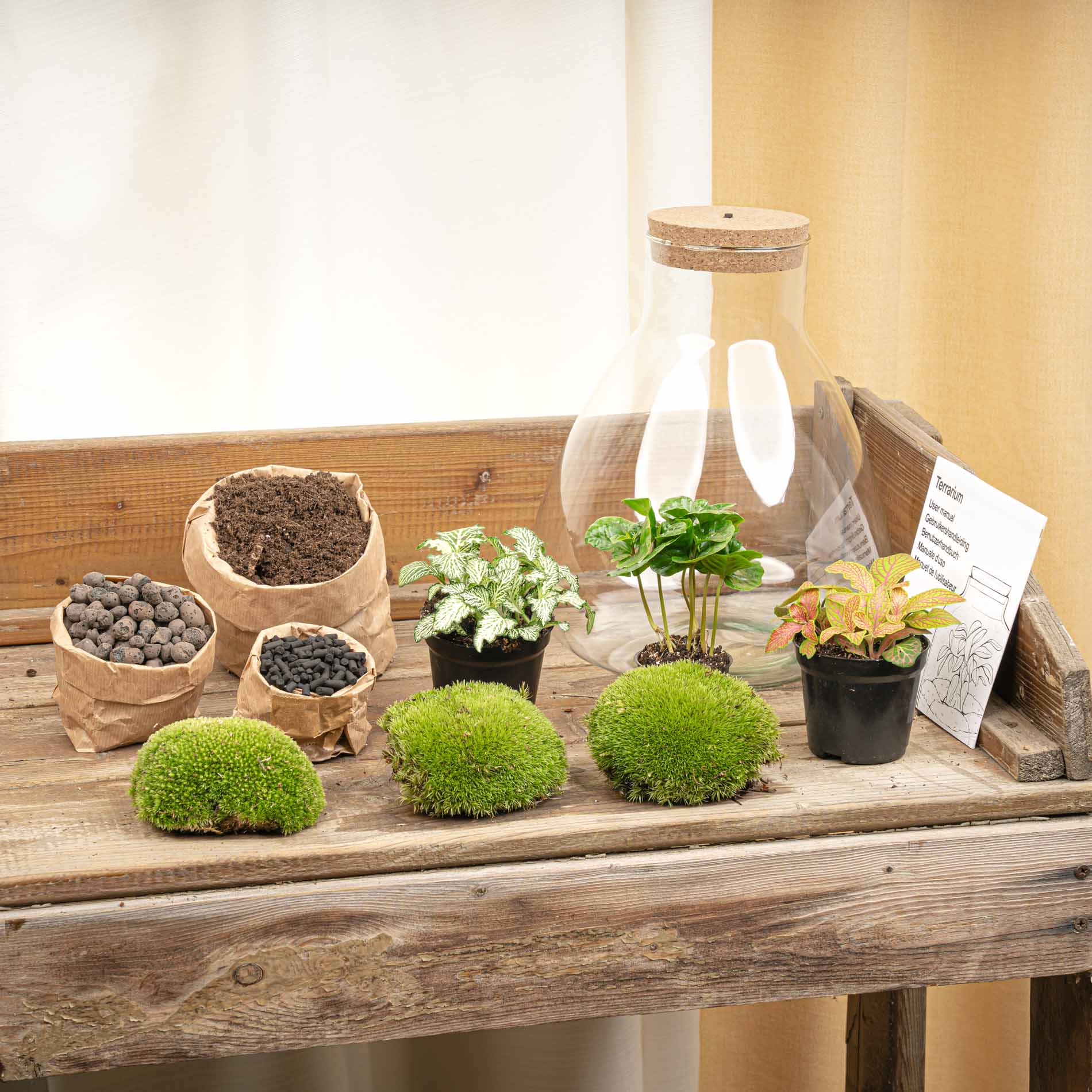 Sam Coffea - Terrarium with light - Bottle garden DIY kit - Ø 24.5 cm ↑ 30 cm